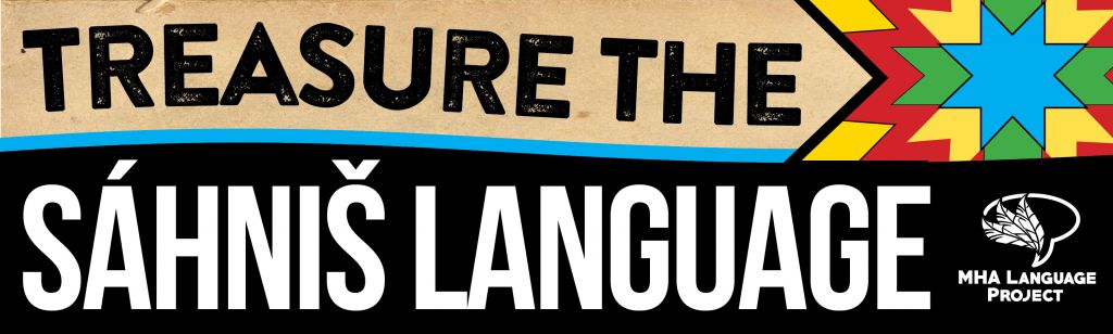 Treasure the language bumper stickers2